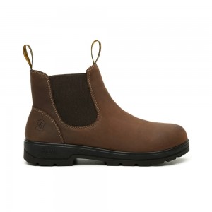 Botas Chelsea Flexi Style 406102 Hombre Marrom | 82ITFQDCS