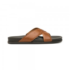 Sandalias Flexi Quirelli al Style 701402 Hombre Marrom | 71JMFNTOQ